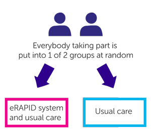 eRAPID RCT study diagram