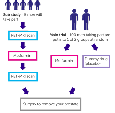 METAL trial diagram