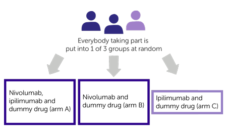 study diagram