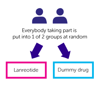 study diagram