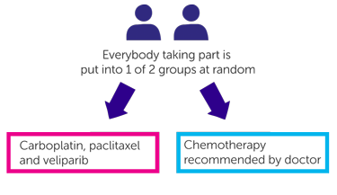 Trial Diagram