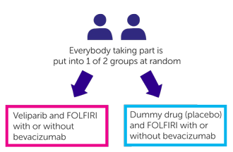 Trial Diagram