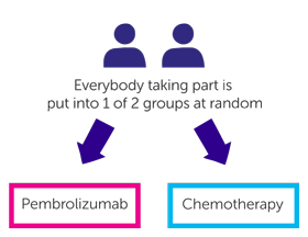 Trial diagram