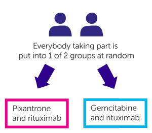 PIX-R Trial Diagram