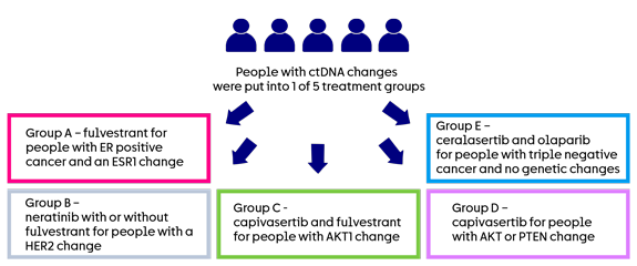 plasmaMATCH trial randomisation diagram