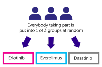 study diagran