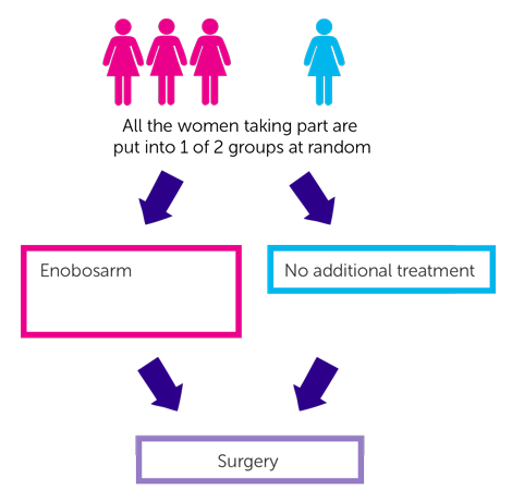 study diagram
