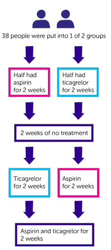Flow Chart 1