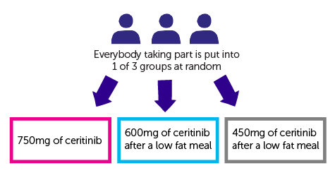 Trial Diagram