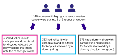 Study randomisation diagram