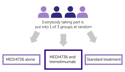 Kestrel diagram 2