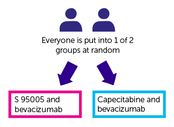 Study Diagram