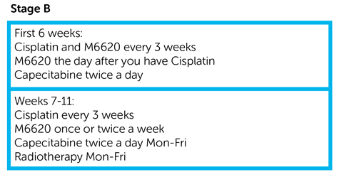 CHARIOT Trial Diagram