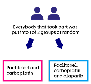 PARTNER - trial diagram