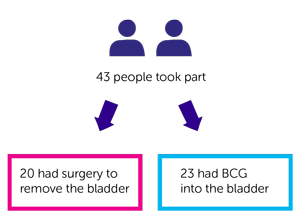 BRAVO results - randomisation diagram
