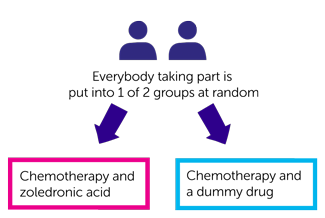 study diagram