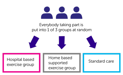 Prepare ABC trial diagram