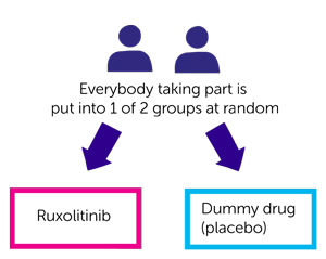 study diagram