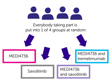 CALYPSO Trial Diagram