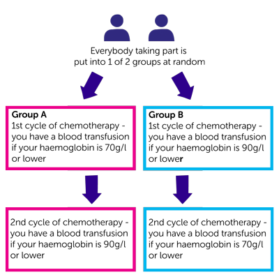REAL Trial Diagram