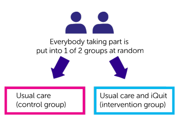 study diagram