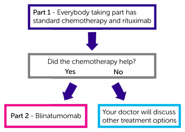 study diagram