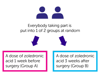 ZOLMENO study randomisation diagram
