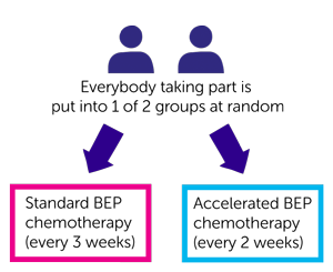 UKP3BEP trial diagram