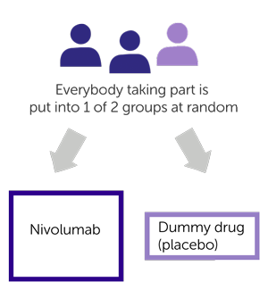 study diagram