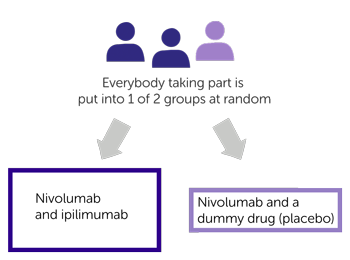 study diagram