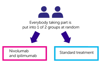 study diagram
