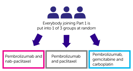 study diagram