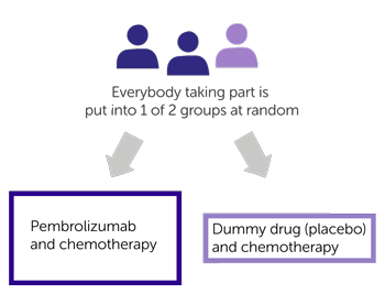 study diagram