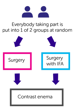 IntAct diagram