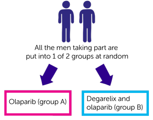 CaNCaP03 Study Diagram