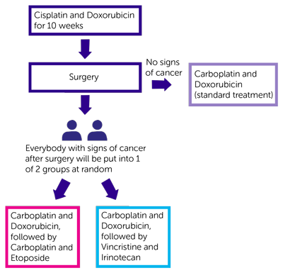 PHITT Diagram