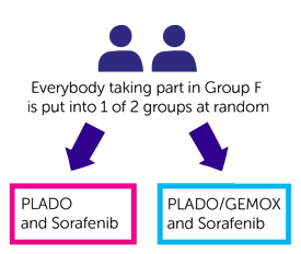 PHITT Diagram