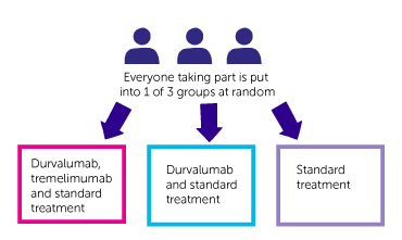 study diagram