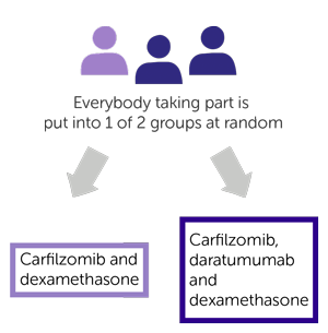 CANDOR Diagram