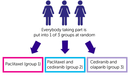 COPELIA Trials Diagram