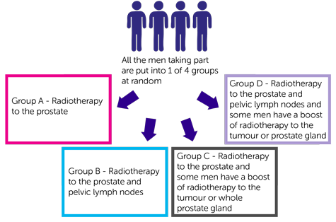 Study diagram