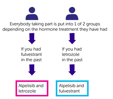 BYLieve Diagram