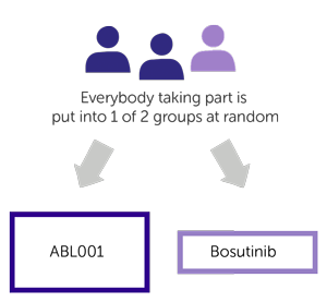 Study Diagram
