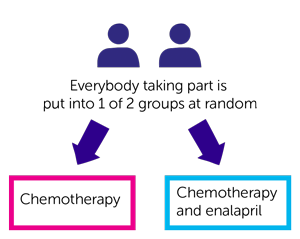 PROACT Diagram