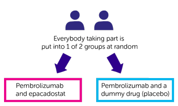 KEYNOTE-654 diagram