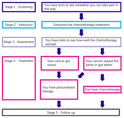 Trials Diagram