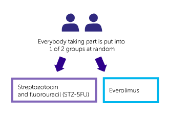 SEQTOR trial diagram