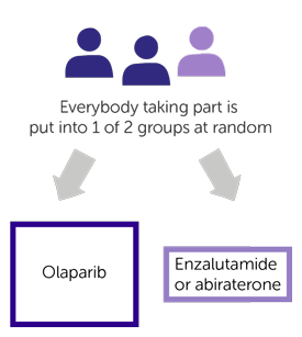 A trial comparing olaparib with enzalutamide or abiraterone for men ...