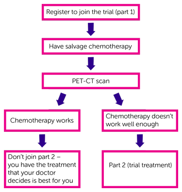 ANIMATE Trial Diagram