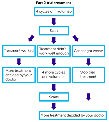 ANIMATE Trial Diagram